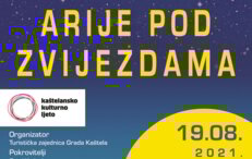 ARIA concert UNDER THE STARS