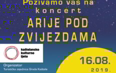 ARIA CONCERT UNDER THE STARS