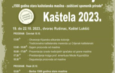 Slikarsko - kiparska kolonija